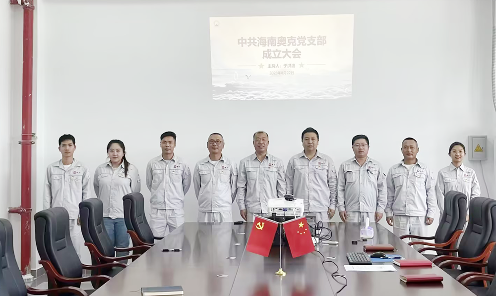海南win必赢正式成立党支部.png